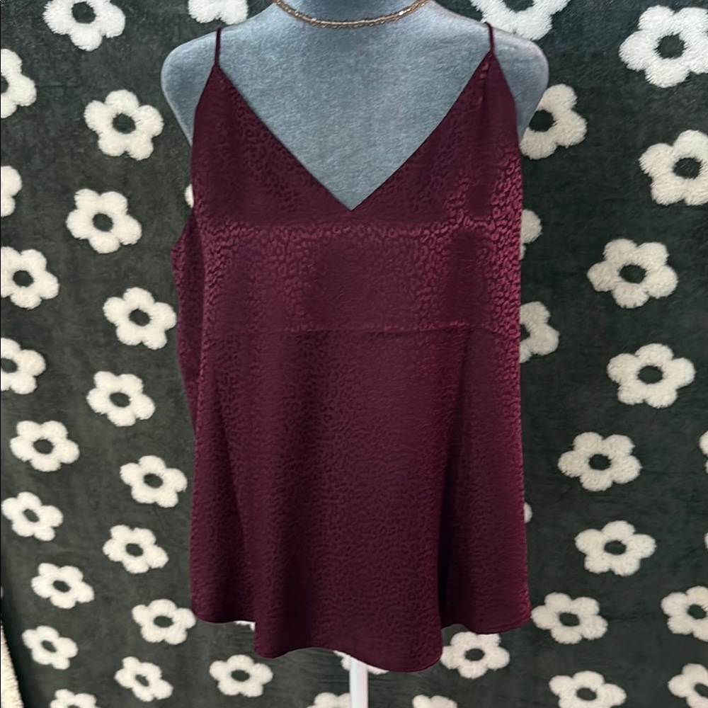 Express Red Sleeveless Camisole Top